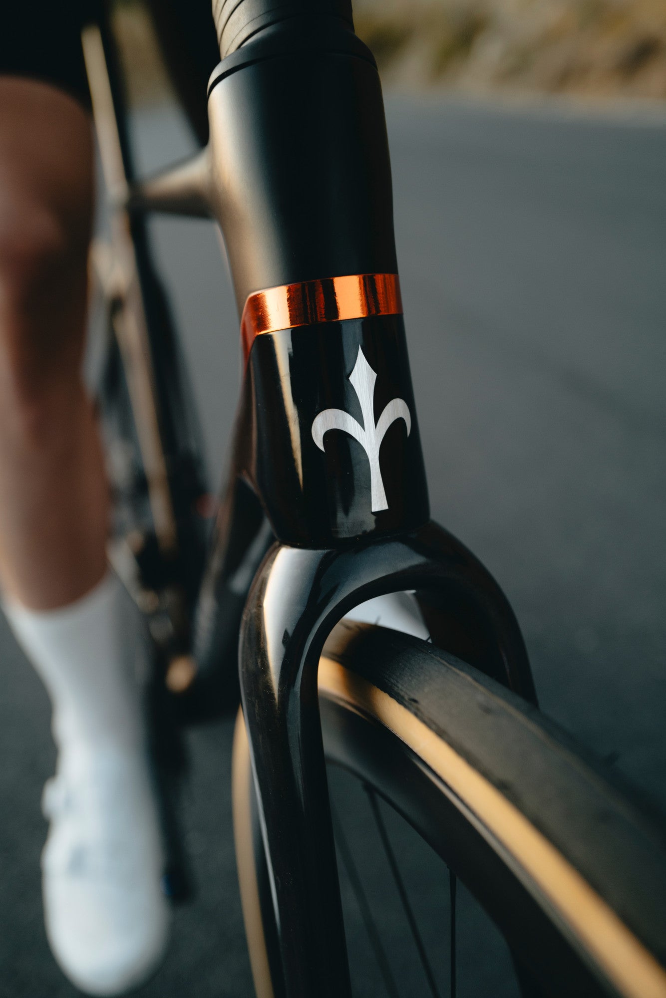 Wilier Verticale SLR – Lightweight Carbon Road Bike